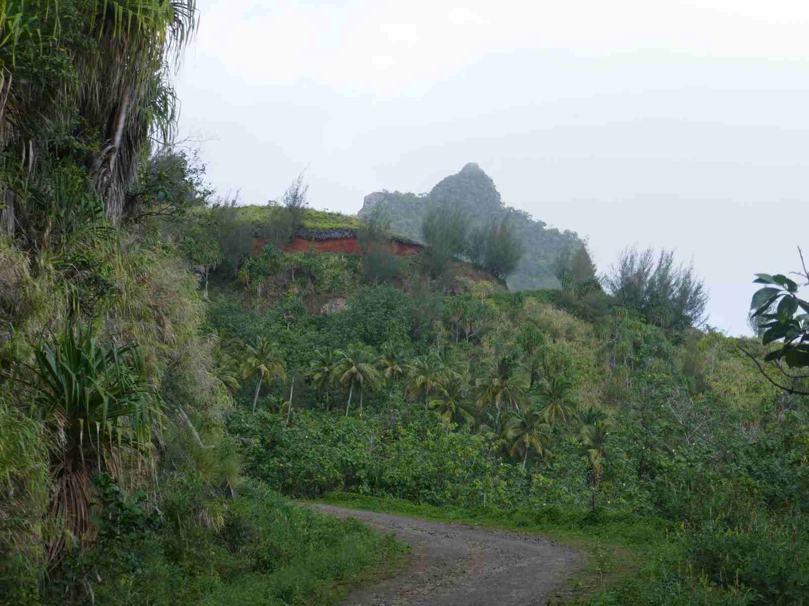 Sur la route du col Teavaitetana