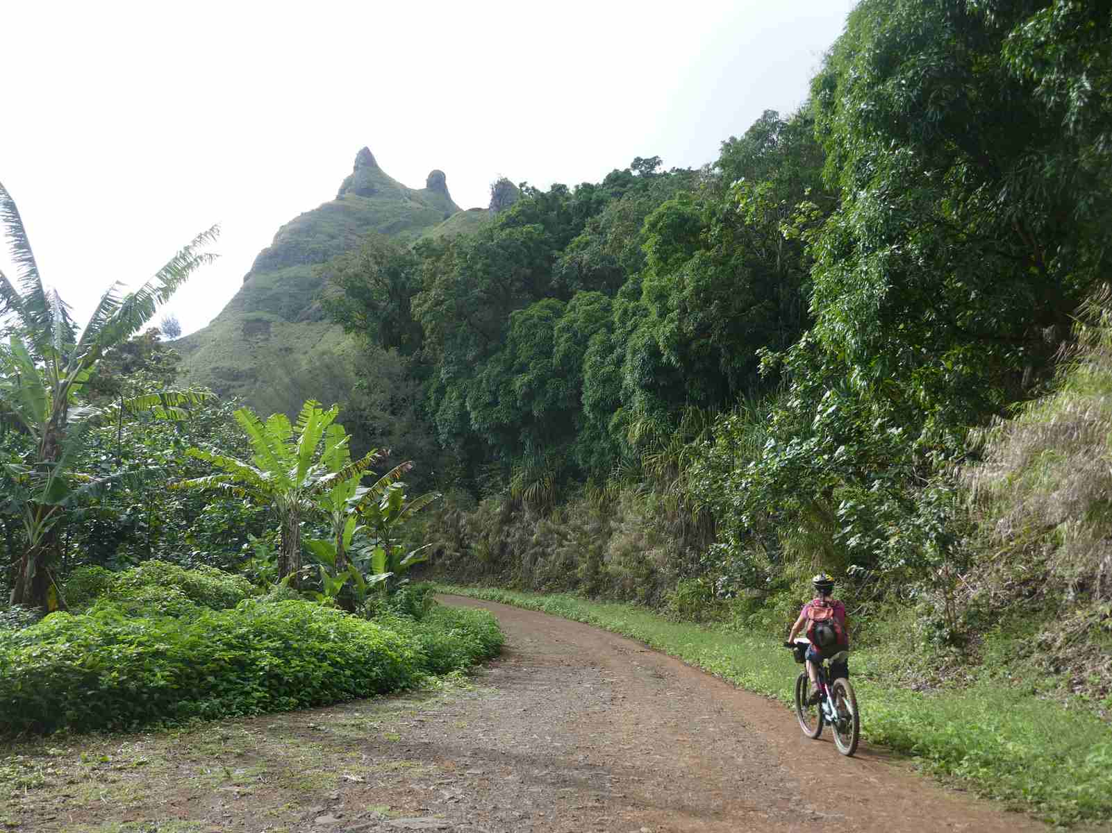 Sur la route du col Teavaitetana